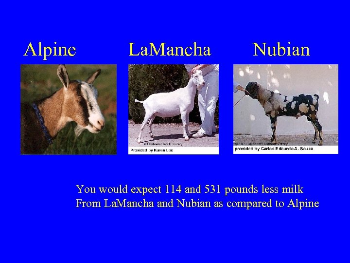 Alpine La. Mancha Nubian You would expect 114 and 531 pounds less milk From
