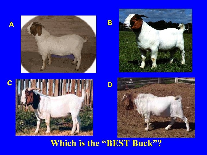 A B C D -1. 1 22 18 43. 48 Which is the “BEST