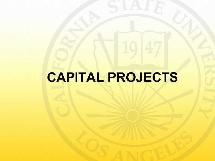 CAPITAL PROJECTS 