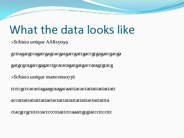 What the data looks like >Schisto unique AA 825099 gcttagatgtcagattgagcacgatgatcgattgaccgtgagatcgacga gatgcgcagatcgagatctgcatacagatgatgaccatagtgtacg >Schisto unique mancons
