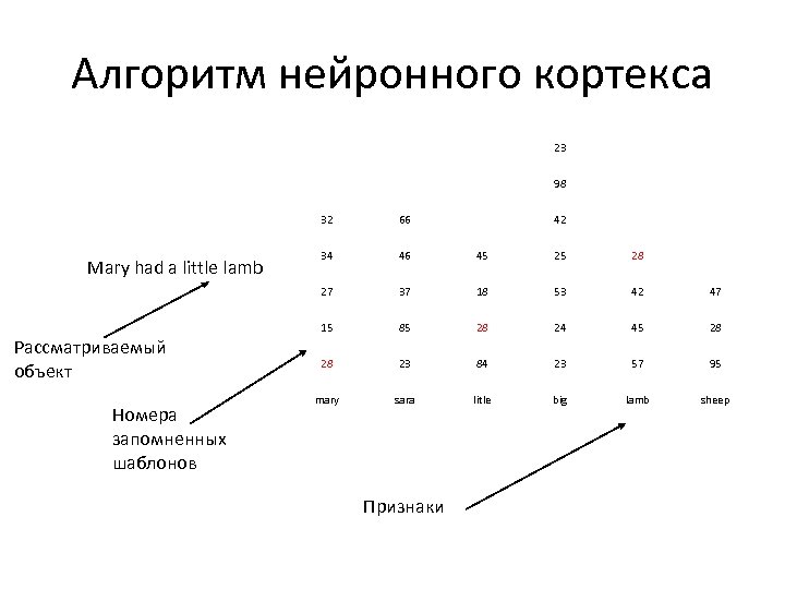 Алгоритм нейронного кортекса 23 98 32 Номера запомненных шаблонов 46 45 25 28 37