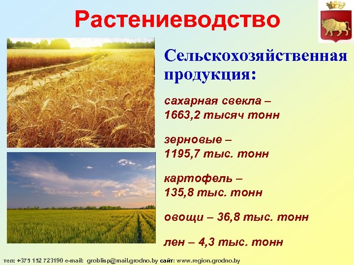 Растениеводство Сельскохозяйственная продукция: сахарная свекла – 1663, 2 тысяч тонн зерновые – 1195, 7