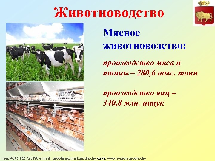 Животноводство Мясное животноводство: производство мяса и птицы – 280, 6 тыс. тонн производство яиц