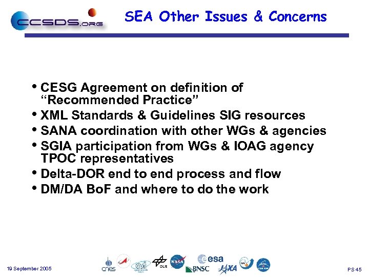 SEA Other Issues & Concerns • CESG Agreement on definition of “Recommended Practice” •