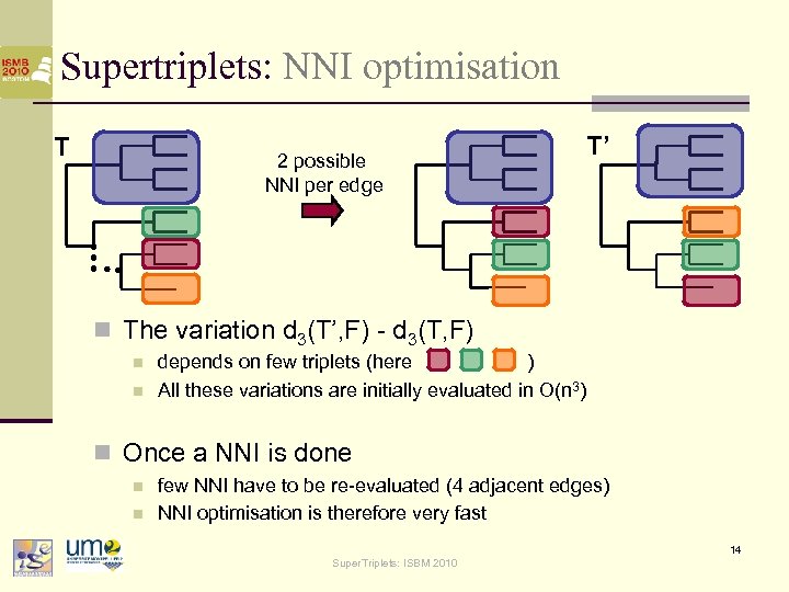 Supertriplets: NNI optimisation T 2 possible NNI per edge T’ n The variation d