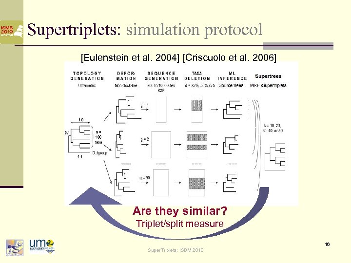 Supertriplets: simulation protocol [Eulenstein et al. 2004] [Criscuolo et al. 2006] Are they similar?