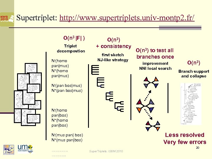 Supertriplet: http: //www. supertriplets. univ-montp 2. fr/ O(n 3 |F| ) Triplet decompostion N-(homo