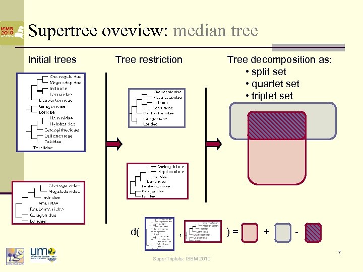 Supertree oveview: median tree Initial trees Tree restriction Tree decomposition as: • split set