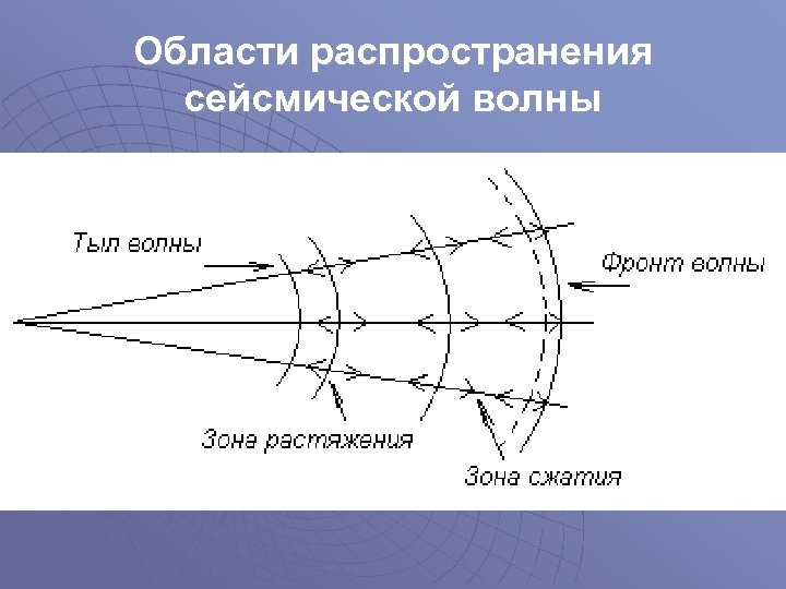 Области распространения сейсмической волны 