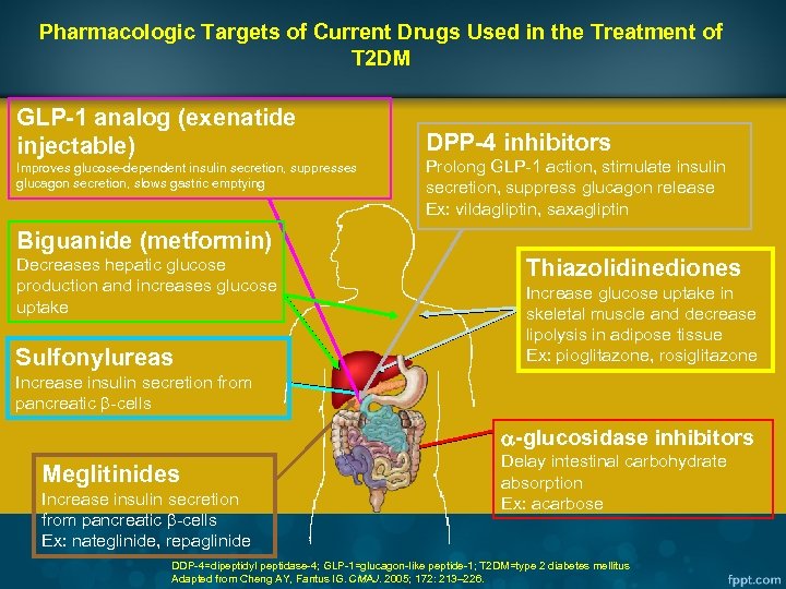 Pharmacologic Targets of Current Drugs Used in the Treatment of T 2 DM GLP-1