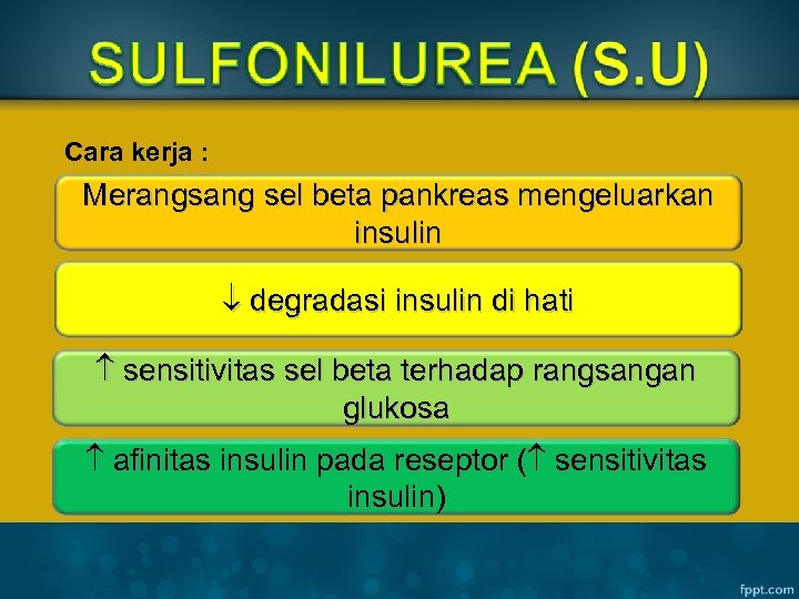 Cara kerja : Merangsang sel beta pankreas mengeluarkan insulin degradasi insulin di hati sensitivitas