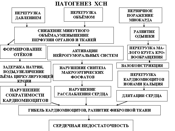 ПАТОГЕНЕЗ ХСН ПЕРЕГРУЗКА ОБЪЁМОМ ПЕРЕГРУЗКА ДАВЛЕНИЕМ ПЕРВИЧНОЕ ПОРАЖЕНИЕ МИОКАРДА СНИЖЕНИЕ МИНУТНОГО ОБЪЁМА, УМЕНЫШЕНИЕ ПЕРФУЗИИ