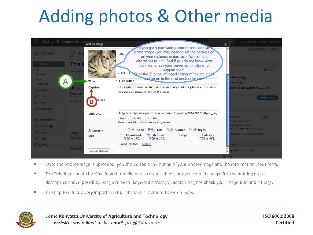 Adding photos & Other media **If you get a permission error or can’t see