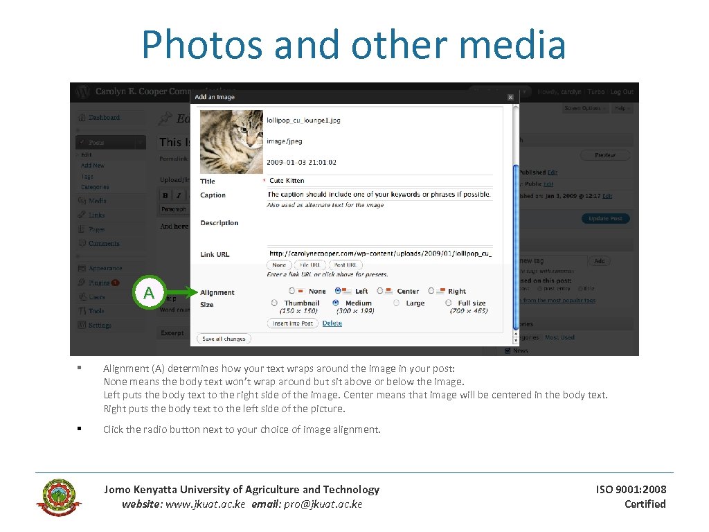Photos and other media A § Alignment (A) determines how your text wraps around