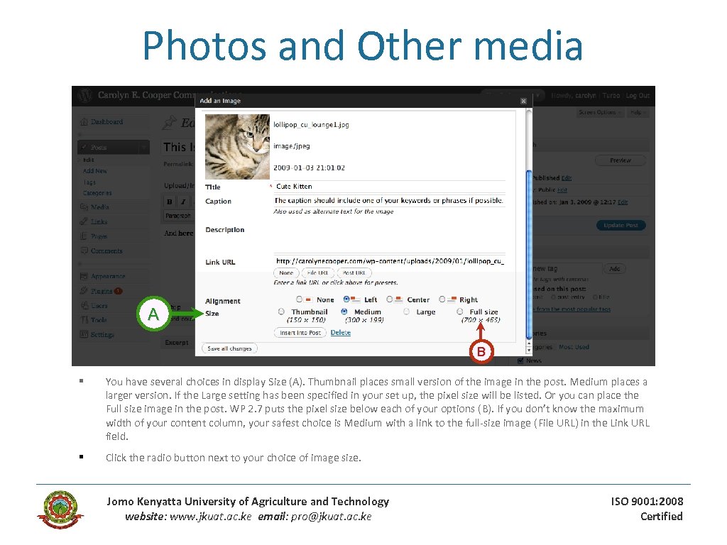 Photos and Other media A B § You have several choices in display Size