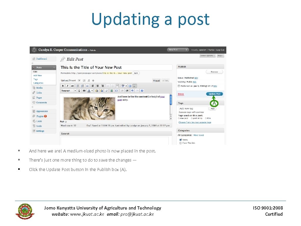 Updating a post A § And here we are! A medium-sized photo is now