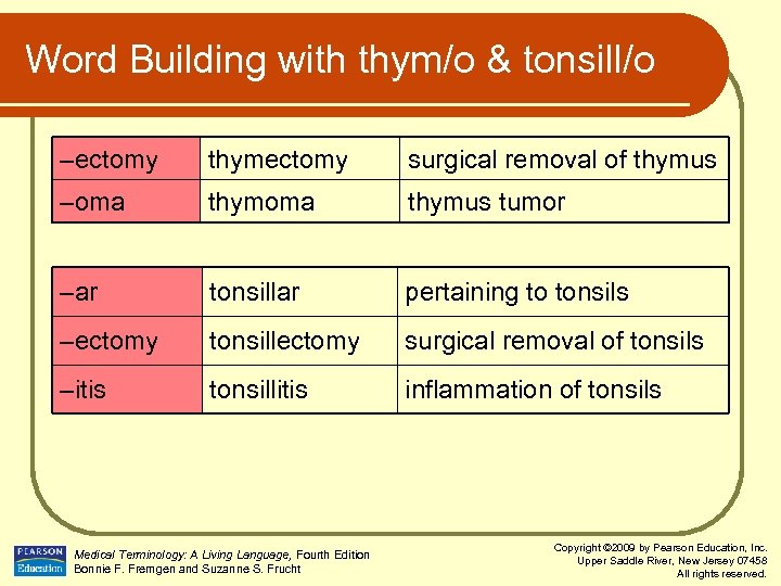 Word Building with thym/o & tonsill/o –ectomy thymectomy surgical removal of thymus –oma thymus