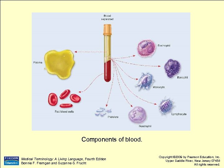 Components of blood. Language, Fourth Edition Medical Terminology: A Living Language, Fourth Edition Bonnie