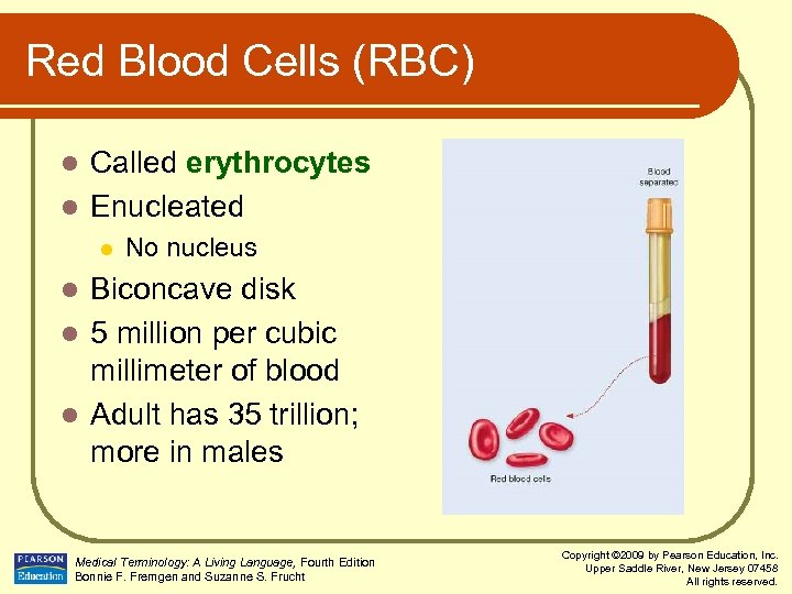 Red Blood Cells (RBC) Called erythrocytes l Enucleated l l No nucleus Biconcave disk
