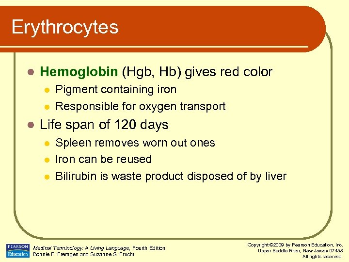 Erythrocytes l Hemoglobin (Hgb, Hb) gives red color l l l Pigment containing iron