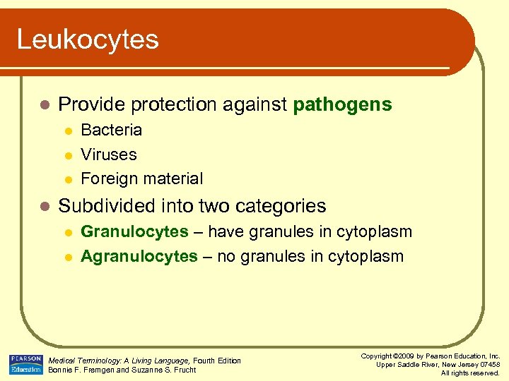 Leukocytes l Provide protection against pathogens l l Bacteria Viruses Foreign material Subdivided into