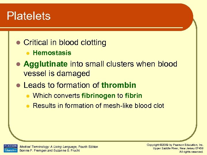 Platelets l Critical in blood clotting l Hemostasis Agglutinate into small clusters when blood
