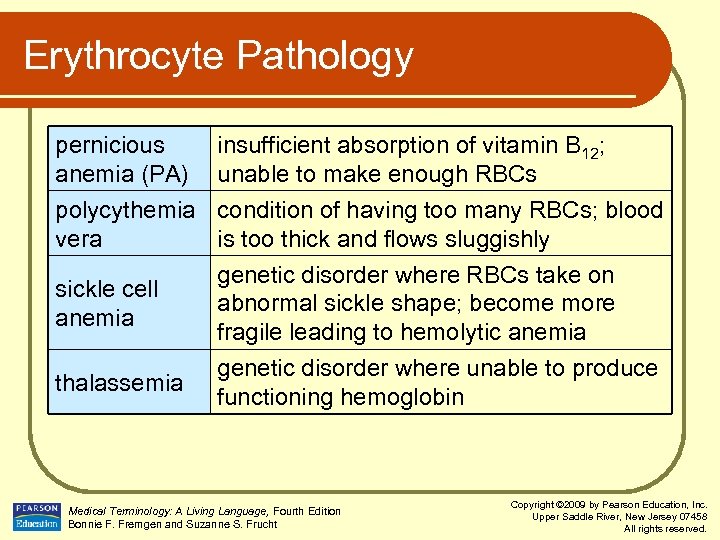 Erythrocyte Pathology pernicious anemia (PA) insufficient absorption of vitamin B 12; unable to make