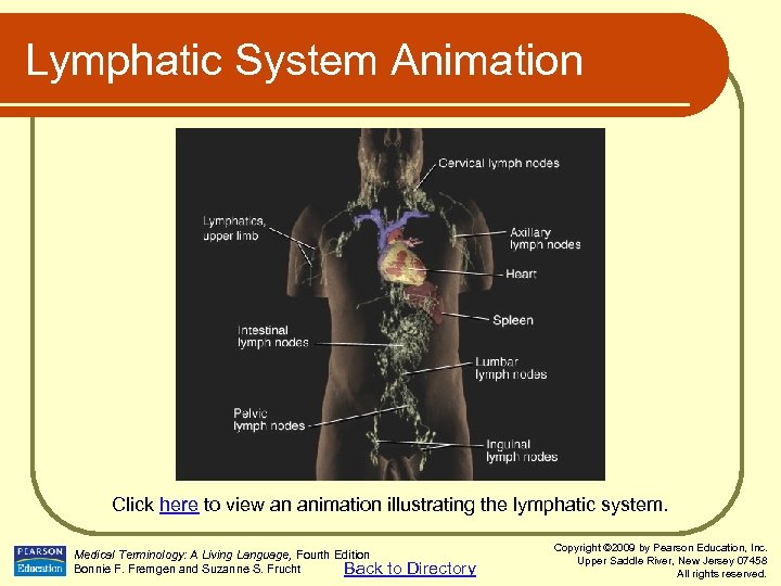 Lymphatic System Animation Click here to view an animation illustrating the lymphatic system. Medical