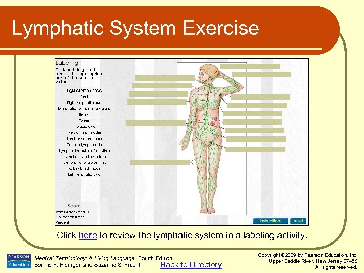 Lymphatic System Exercise Click here to review the lymphatic system in a labeling activity.