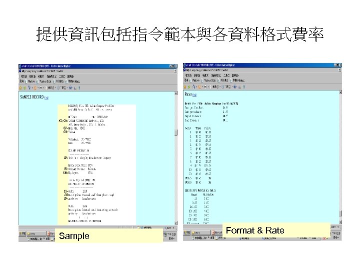提供資訊包括指令範本與各資料格式費率 Sample Format & Rate 