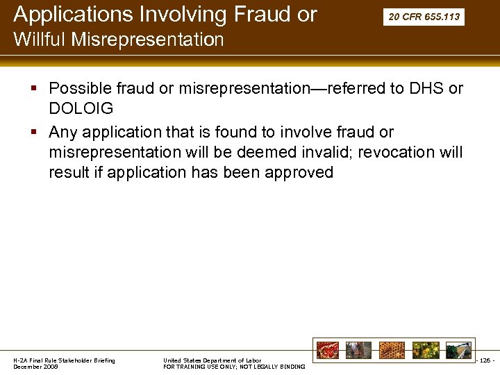 Applications Involving Fraud or 20 CFR 655. 113 Willful Misrepresentation § Possible fraud or