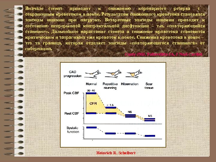 Вначале стеноз приводит к снижению коронарного резерва с сохраненным кровотоком в покое. Результатом сниженного