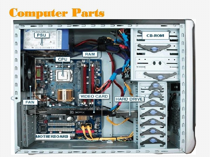 Computer Parts 