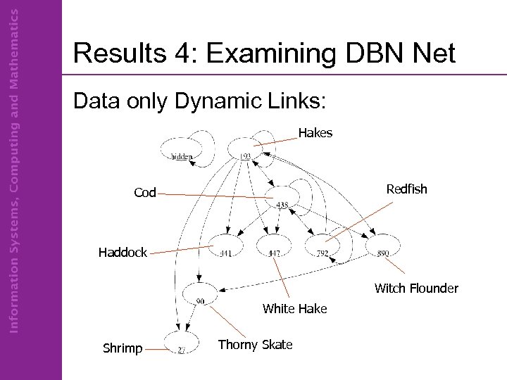 Results 4: Examining DBN Net Data only Dynamic Links: Hakes Redfish Cod Haddock Witch