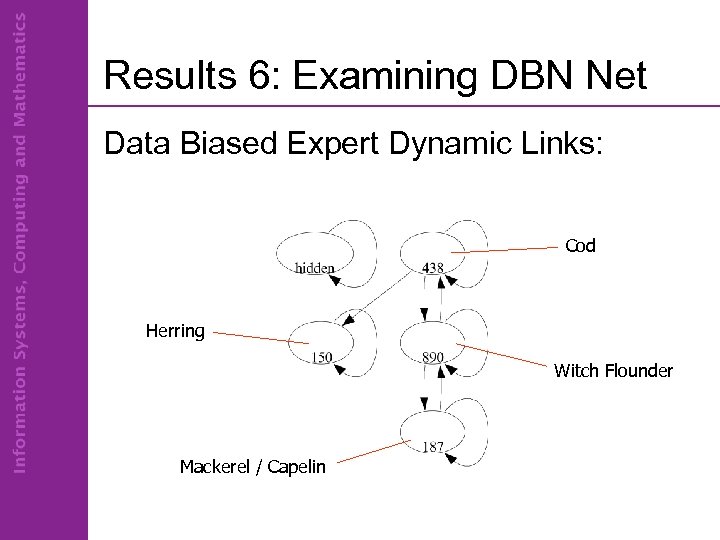 Results 6: Examining DBN Net Data Biased Expert Dynamic Links: Cod Herring Witch Flounder