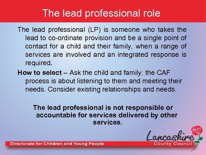 The lead professional role The lead professional (LP) is someone who takes the lead