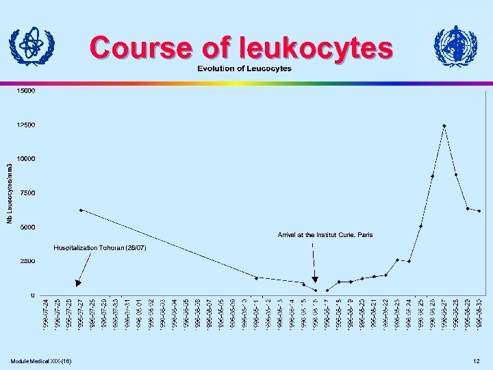 Course of leukocytes Module Medical XIX-(16) 12 