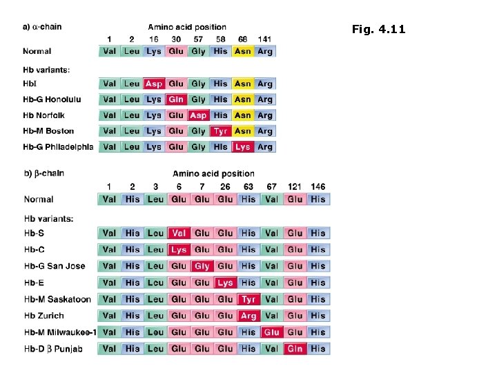 Fig. 4. 10 a Examples of amino acid substitutions Fig. 4. 11 found in