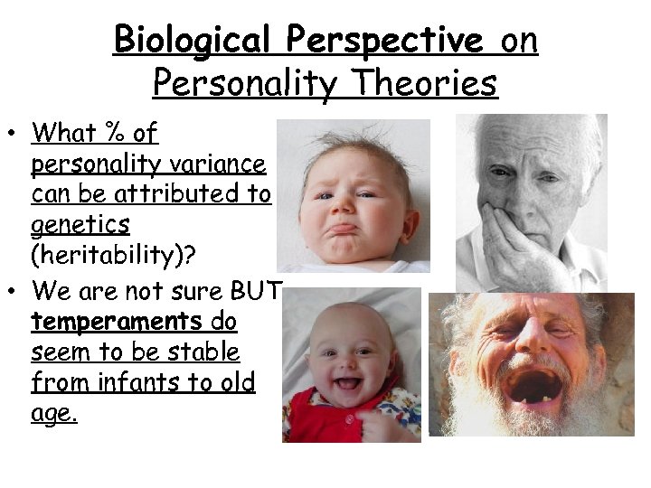 Biological Perspective on Personality Theories • What % of personality variance can be attributed