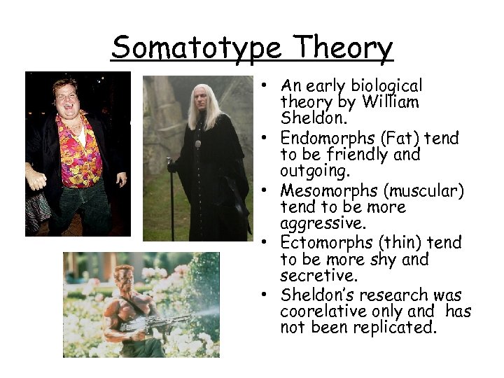 Somatotype Theory • An early biological theory by William Sheldon. • Endomorphs (Fat) tend