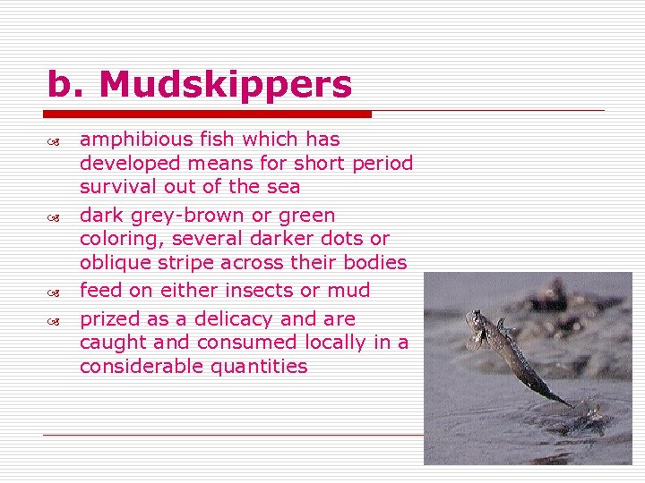b. Mudskippers amphibious fish which has developed means for short period survival out of
