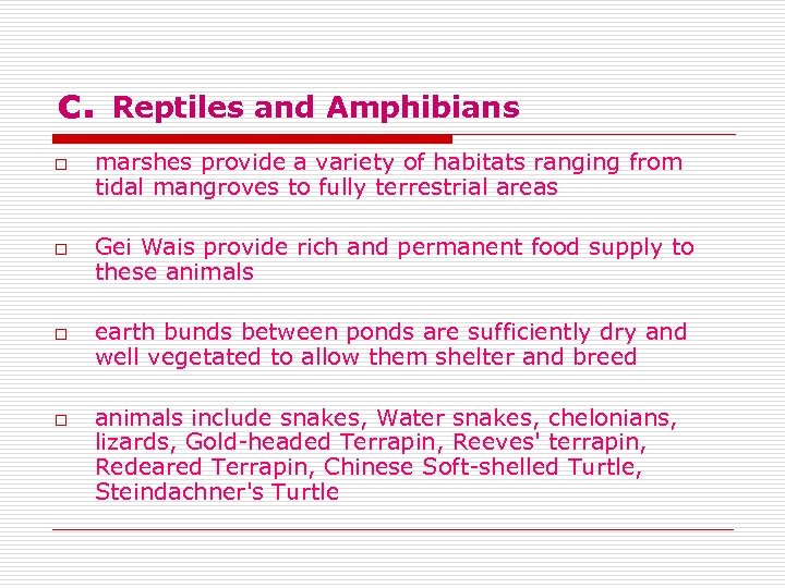 c. o o Reptiles and Amphibians marshes provide a variety of habitats ranging from