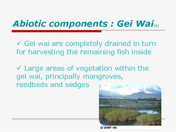 Abiotic components : Gei Wai [2] ü Gei wai are completely drained in turn