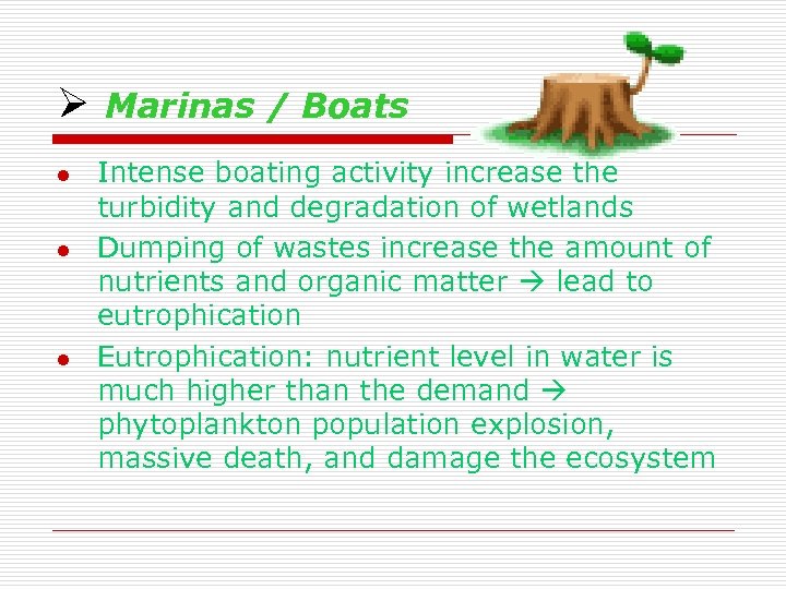 Ø Marinas / Boats l l l Intense boating activity increase the turbidity and