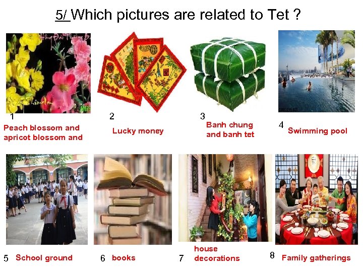 5/ Which pictures are related to Tet ? 1 Peach blossom and apricot blossom
