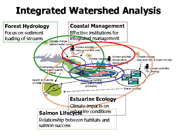 Integrated Watershed Analysis Forest Hydrology Coastal Management Focus on sediment loading of streams Effective