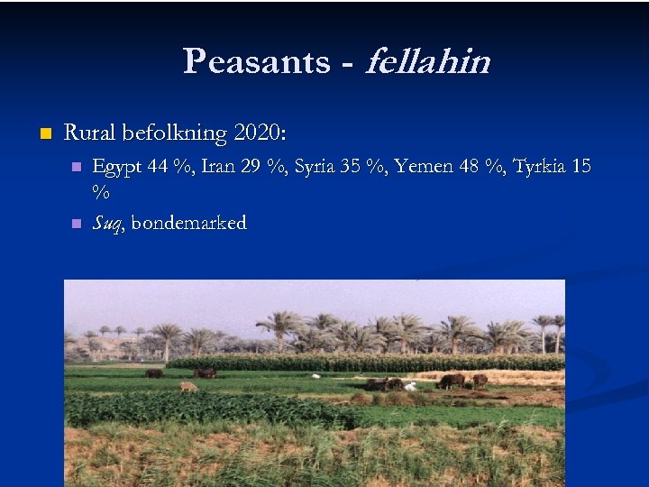 Peasants - fellahin n Rural befolkning 2020: n n Egypt 44 %, Iran 29
