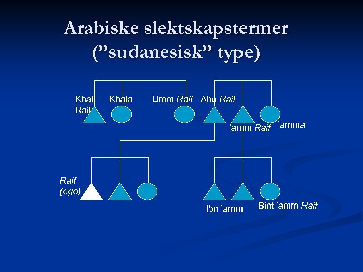 Arabiske slektskapstermer (”sudanesisk” type) Khal Raif Khala Umm Raif Abu Raif = ’amm Raif
