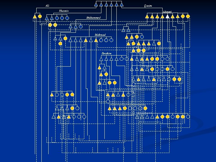 Ali Qasim Hussein Ahmed Muhammed Mahmod Ibrahim 