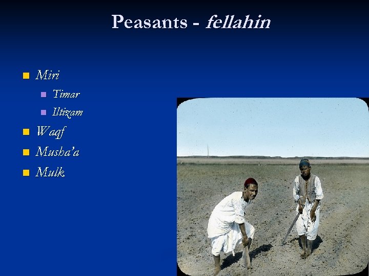 Peasants - fellahin n Miri n n n Timar Iltizam Waqf Musha’a Mulk 